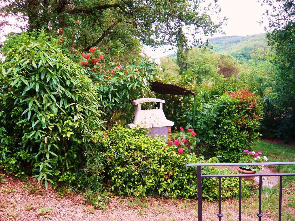 Country house La Loggetta - Chianti *