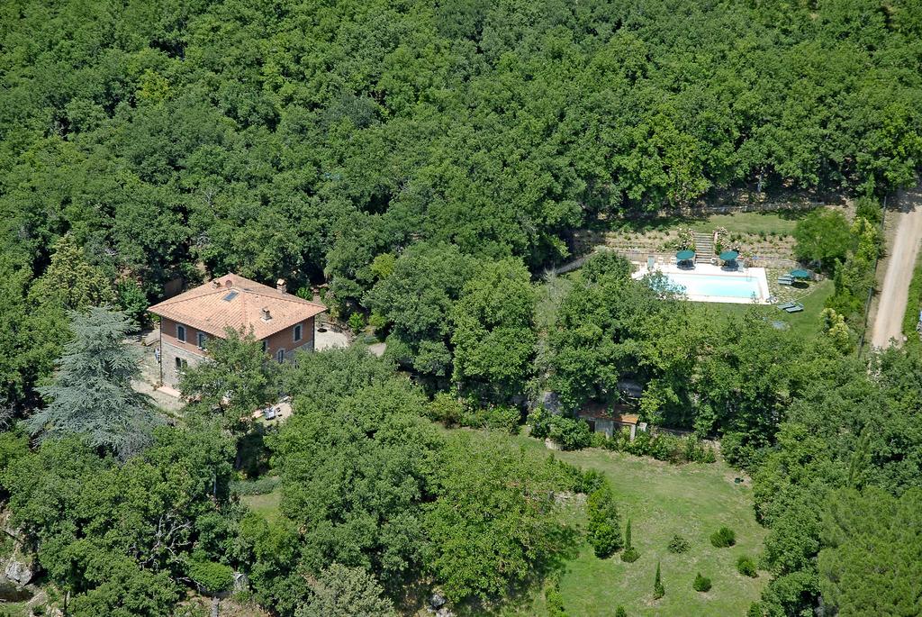 Country house La Loggetta - Chianti *