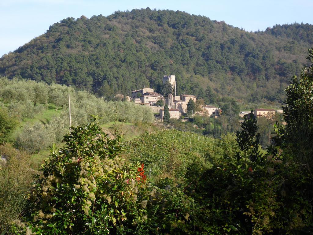 Country house La Loggetta - Chianti Gaiole in Chianti