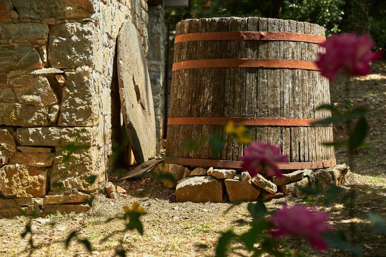 Casa rural La Loggetta - Gaiole in Chianti